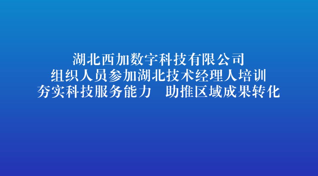 2025.11.15.JPG 2025.11.15.JPG